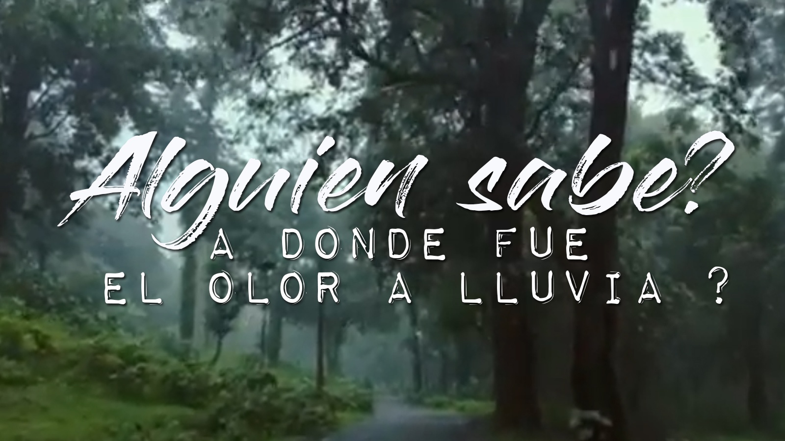 Alguien sabe a donde fue el olor a lluvia